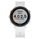 Garmin Forerunner 245 Music
