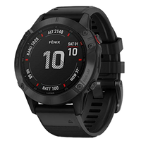 Garmin Fenix 6S Pro