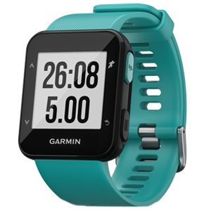 Garmin Forerunner 30